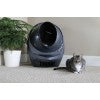 5 SECRETS FOR LITTER BOX SUCCESS