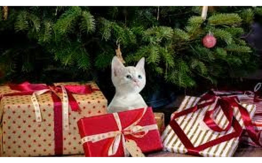 5 tips on Xmas cat care