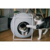 Meow and MeYou