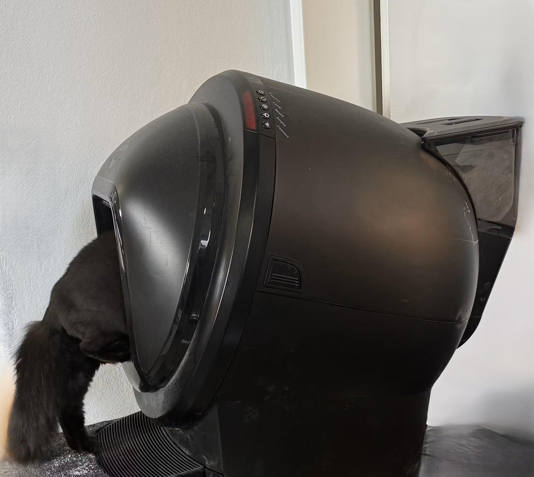 Honest Unedited Review of Litter-Robot 4 and Hopper