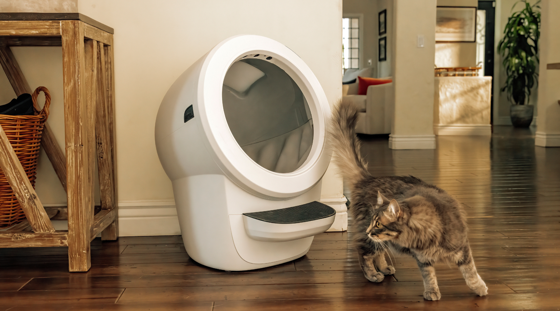 Litter robot outlet usa