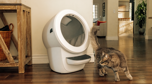 Litter Robot 4