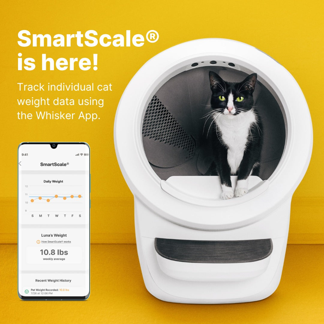 SmartScale for Litter Robot 4 catevolution