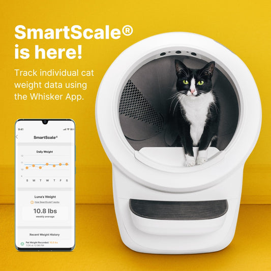 SmartScale for Litter-Robot 4