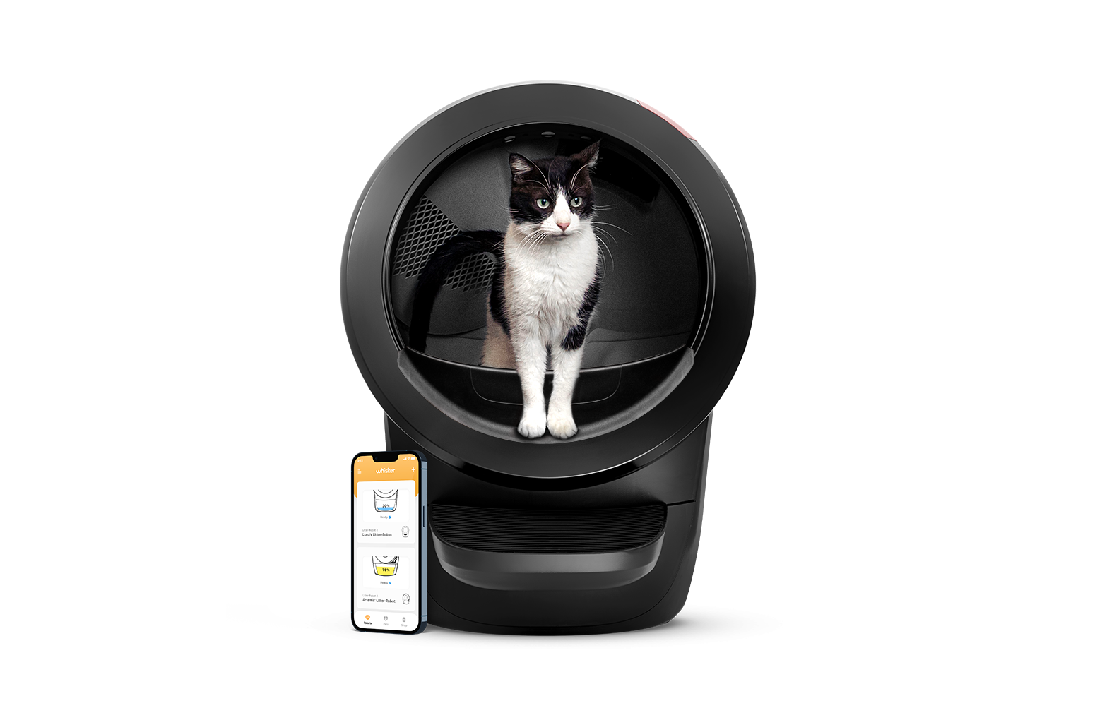 Litter Robot How Often Should You Buy A New Litter Box Whisker