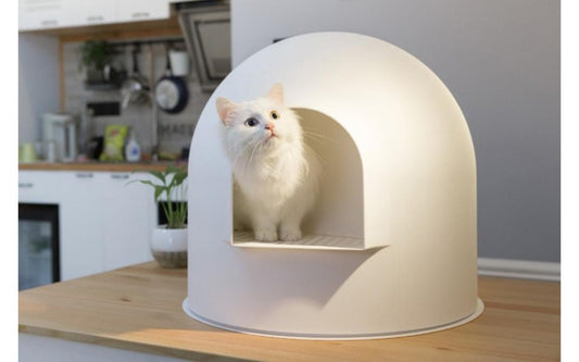 Difference between Manual and Automatic litter box