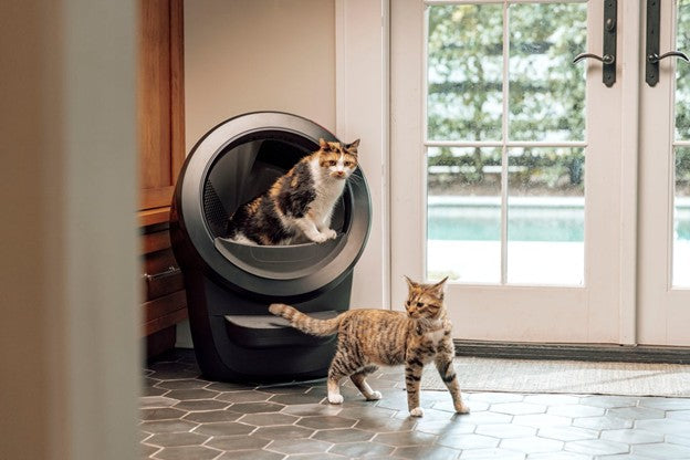 Are Automatic Cat Litter Boxes Effective for Every Breed and Size? Find Out Here