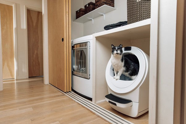 Self-Cleaning Litter Boxes: Pros and Cons Compared to Traditional Litter Box Use