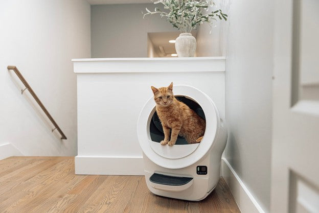 Pros and Cons of Self-Cleaning Functions in Automatic Litter Boxes: Reliability and User Insights