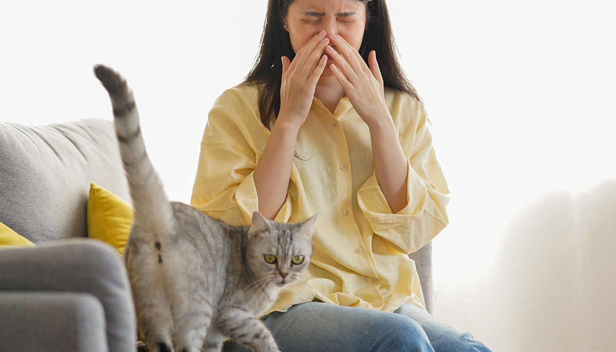 A Guide to Choosing Litter Box Deodorisers for Freshness