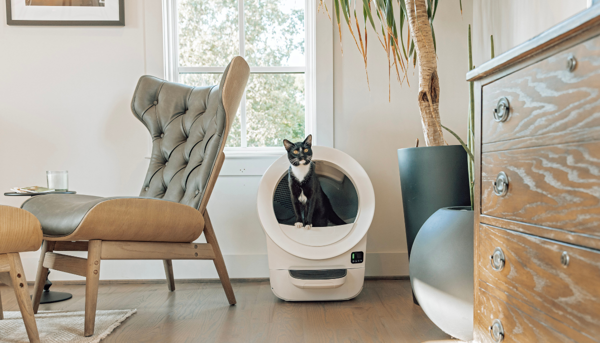 Are Automatic Litter Boxes Worth the Investment?