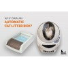 WHY OWN AN AUTOMATIC CAT LITTER BOX?