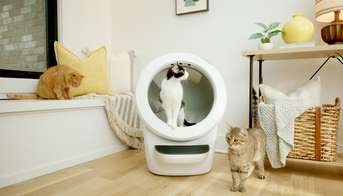 Frequency of Waste Drawer Changes: Keep Your Litter Robot Fresh and Clean