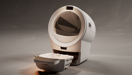 Key Advantages of Adding Carbon Filters to Your Automatic Litter Box Setup for Effective Odour Control and Air Purification