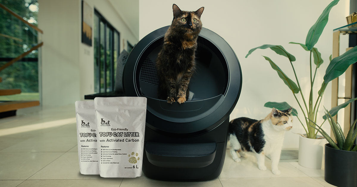 Eco Cat Litter: A Greener Choice for Cat Owners