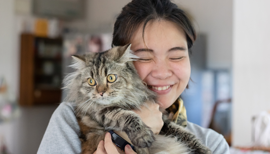 How t bond with new cat 
