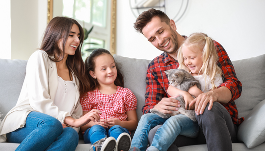 How to Choose the Perfect Cat for Adoption