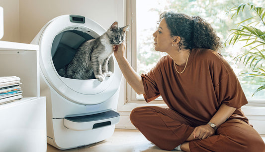 Is It Worth Upgrading From Litter-Robot 4 to Litter-Robot 5?