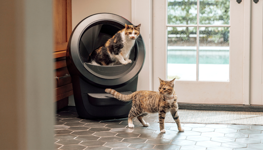 Key Features of Litter Robot 4 That Outshine Litter Robot 3 Connect