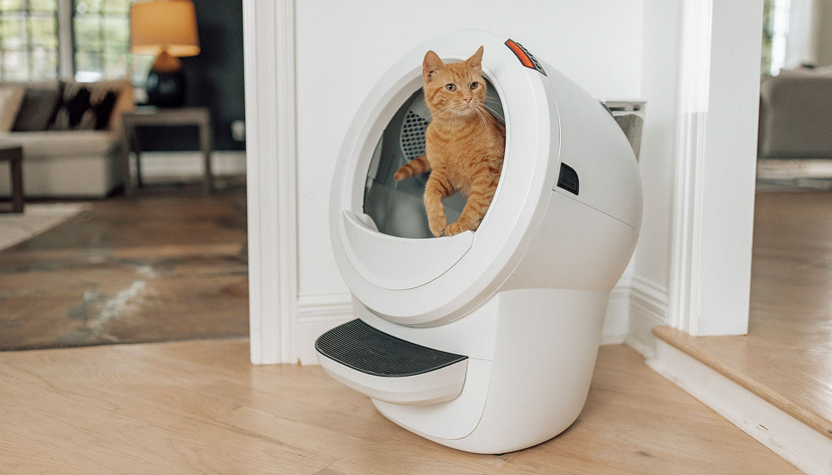 Litter-Robot 4 vs Litter-Robot 5: What’s the Difference?