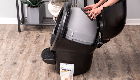 Signs Your Automatic Litter Box Is Malfunctioning and How to Identify Them