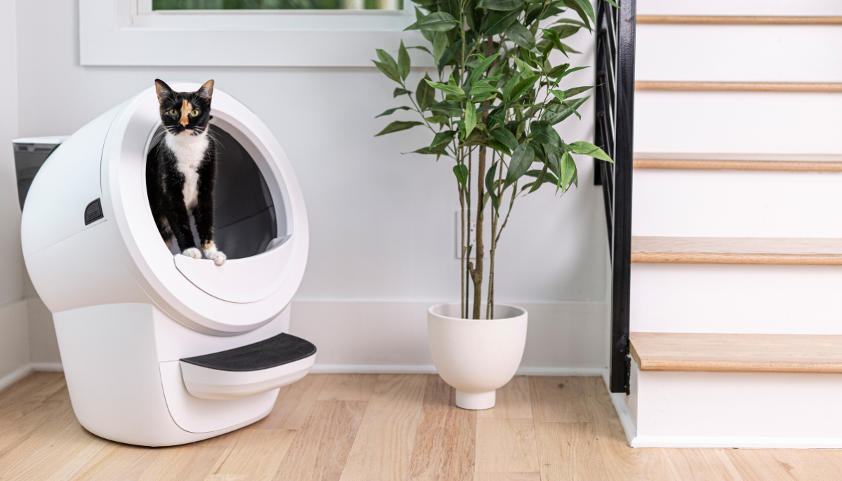 5 Reasons Switching to a Smart Litter Box Outshines Manual Alternatives