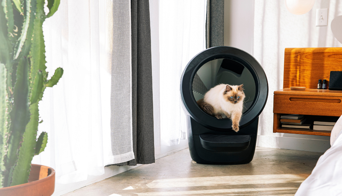 Top Benefits of Litter-Robot 4 in Australia