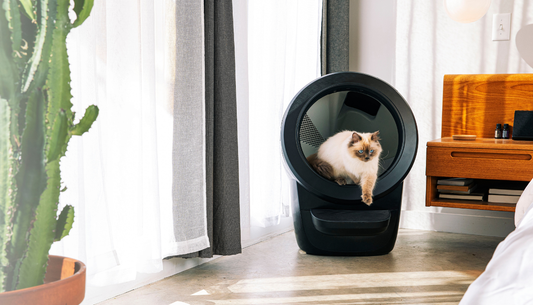 Top Benefits of Litter-Robot 4 in Australia