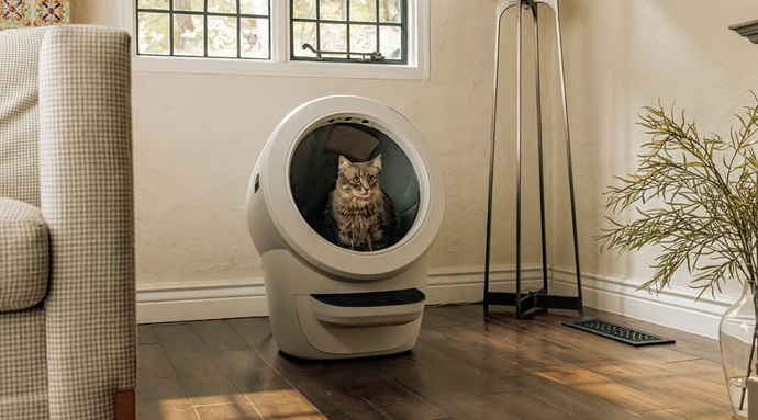 Years In The Making- Litter-Robot™ 4 Coming Soon