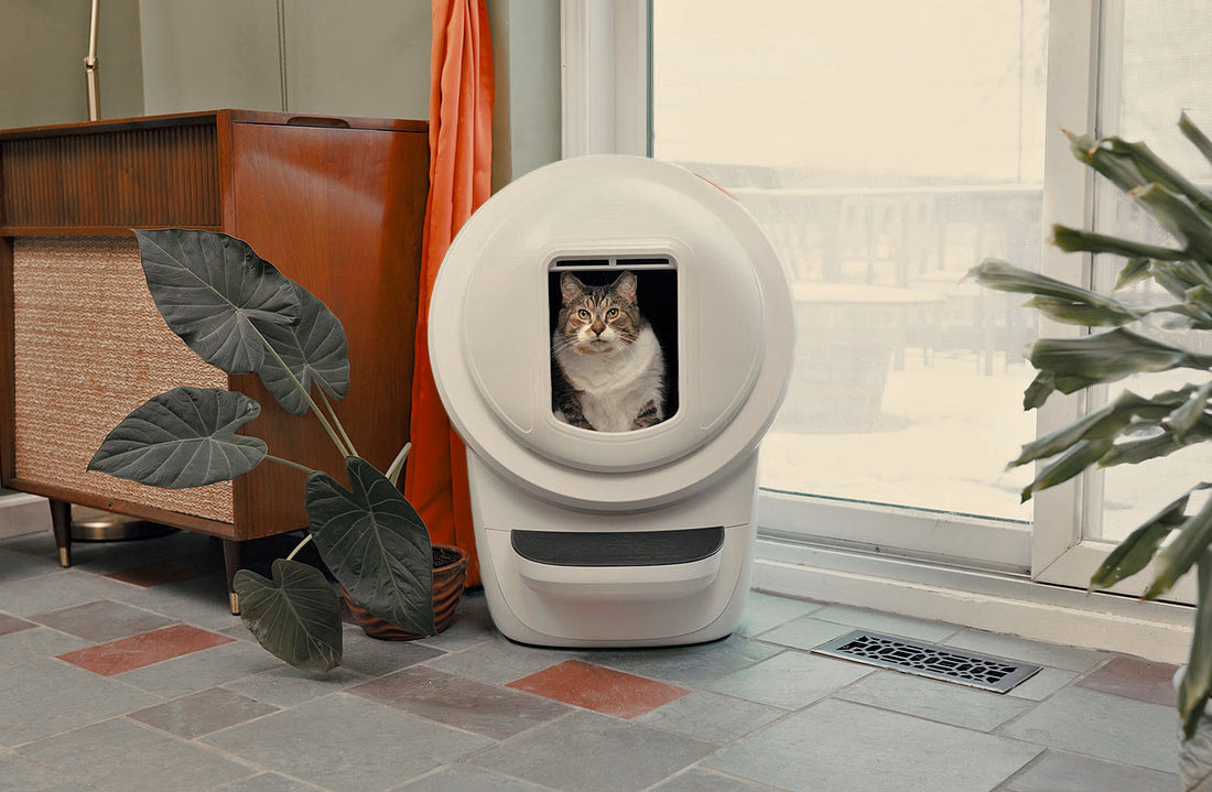 Litter-Robot 4 shield to help contain litter in the globe