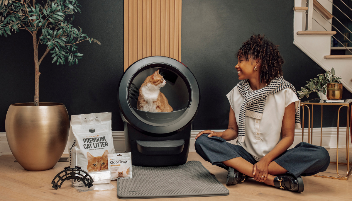 Carbon Filters: Essential for Maintaining a Pleasant Litter Box Area at Home