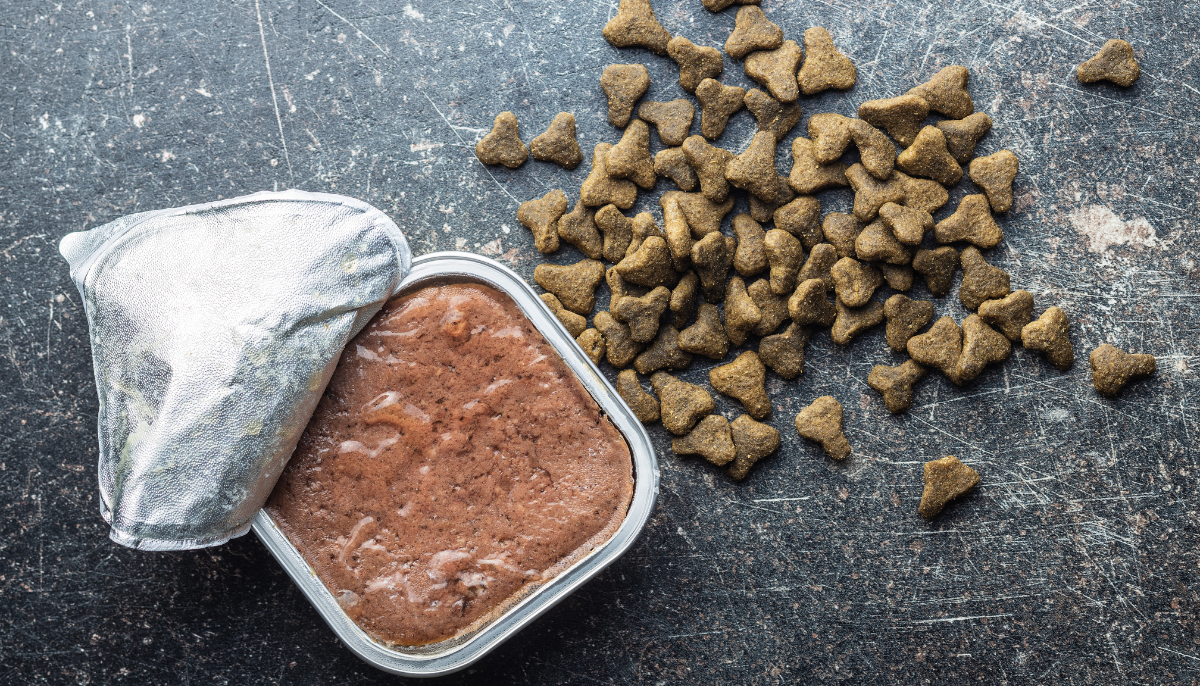The ultimate guide to choosing the right cat food