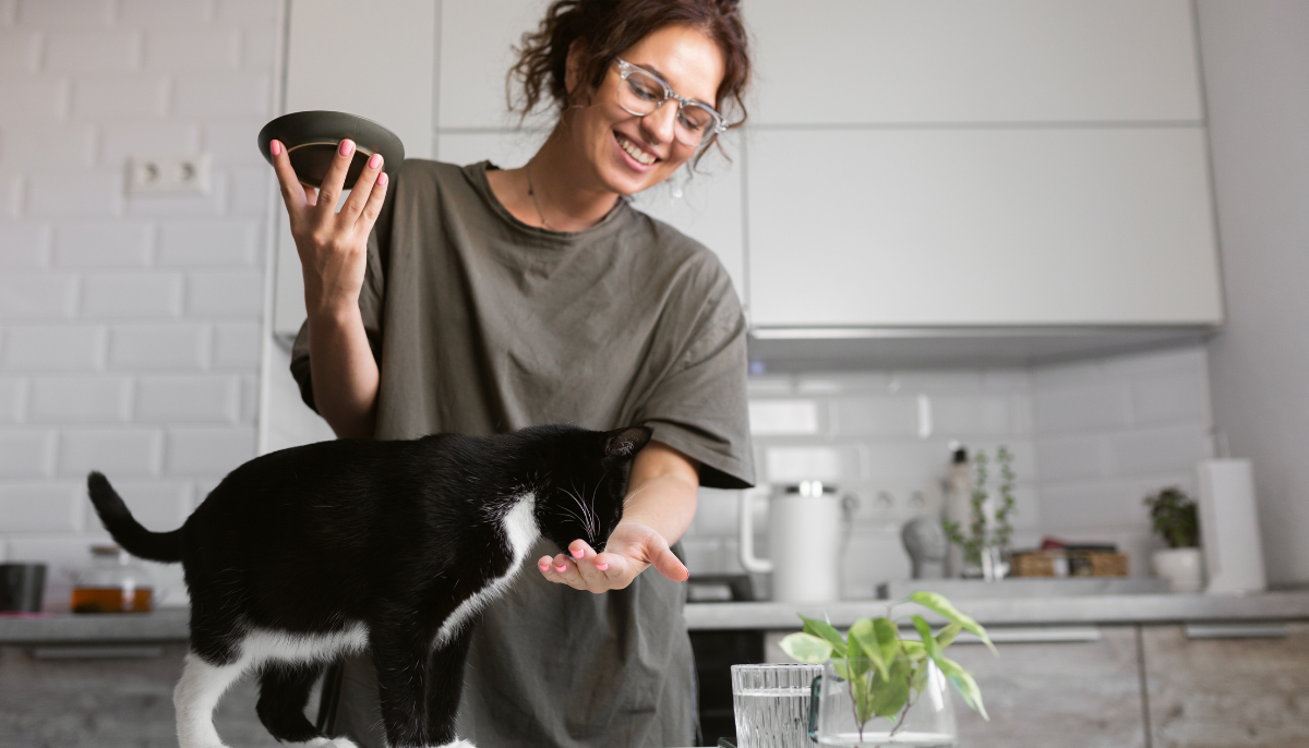 The Ultimate Guide to Cat Health, Happiness, and Bonding: Expert Tips Every Owner Needs
