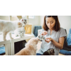 5 Tips For Choosing A Cat Sitter