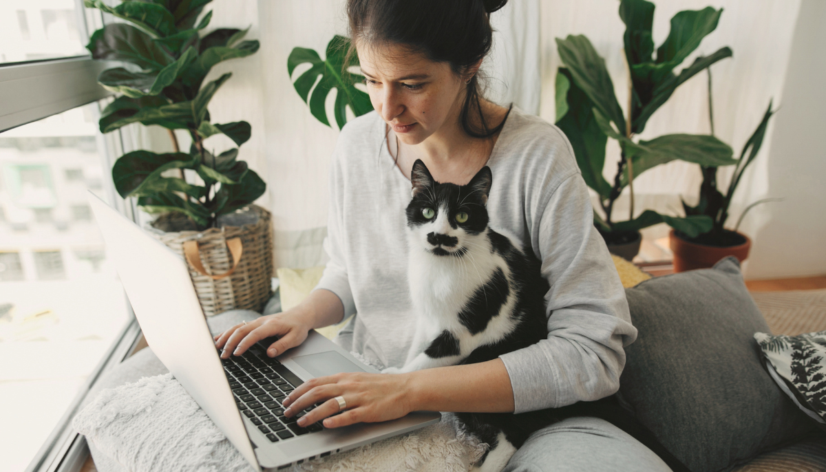 The Ultimate Guide to Cat Ownership in Australia: From Kitten Prep to Litter Box Bliss