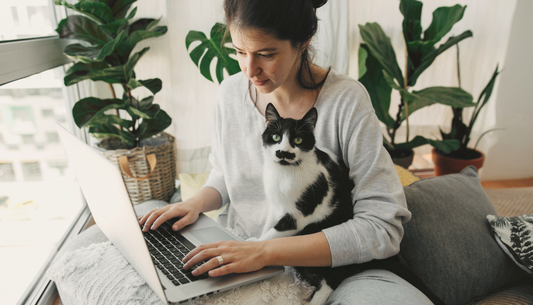 The Ultimate Guide to Cat Ownership in Australia: From Kitten Prep to Litter Box Bliss