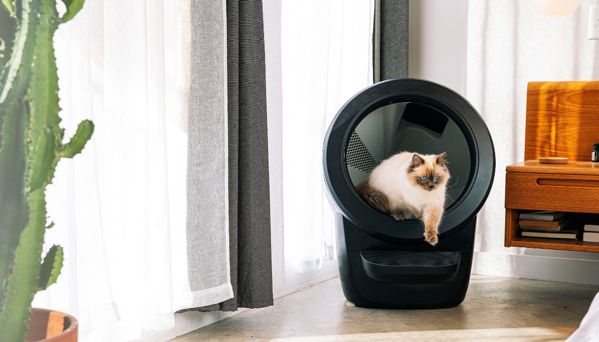 Exploring How Automatic Litter Boxes Tackle Solid and Liquid Waste for Your Pet