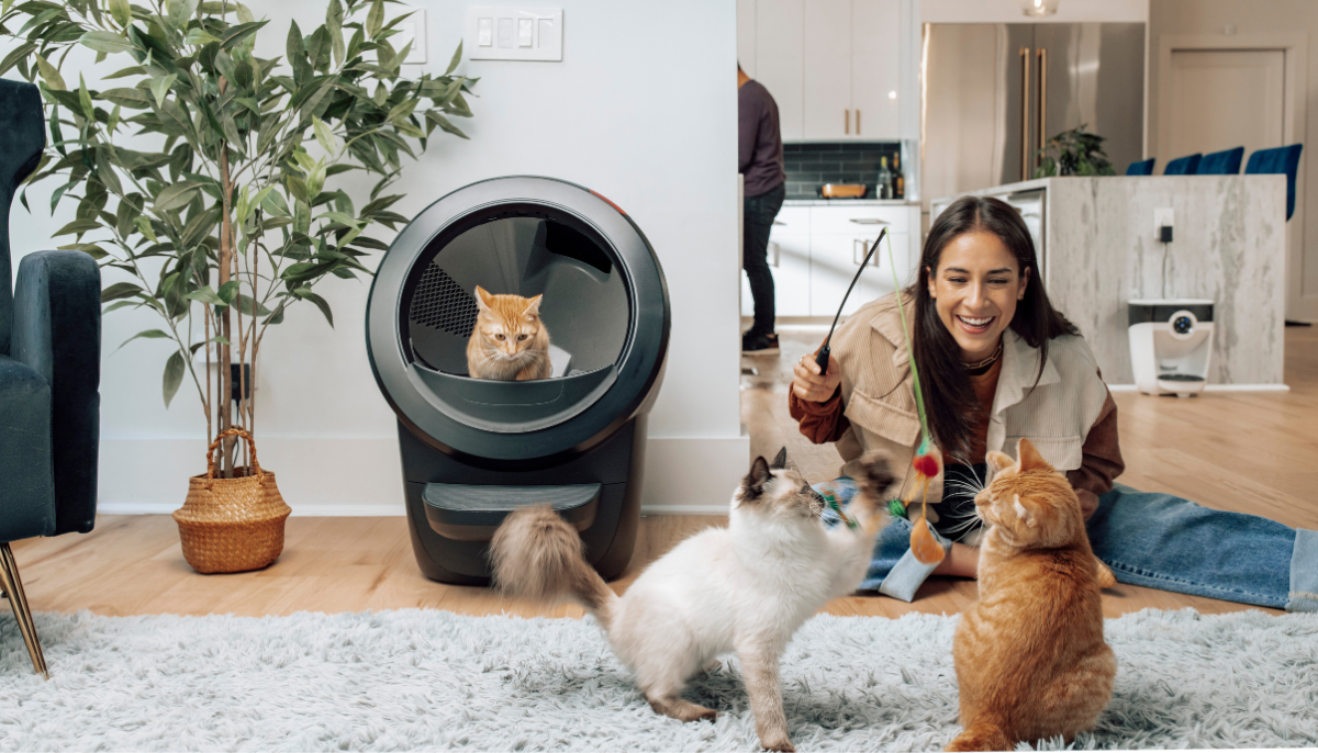 How Many Cats Can Comfortably Share One Automatic Litter Box? Here’s the Answer!