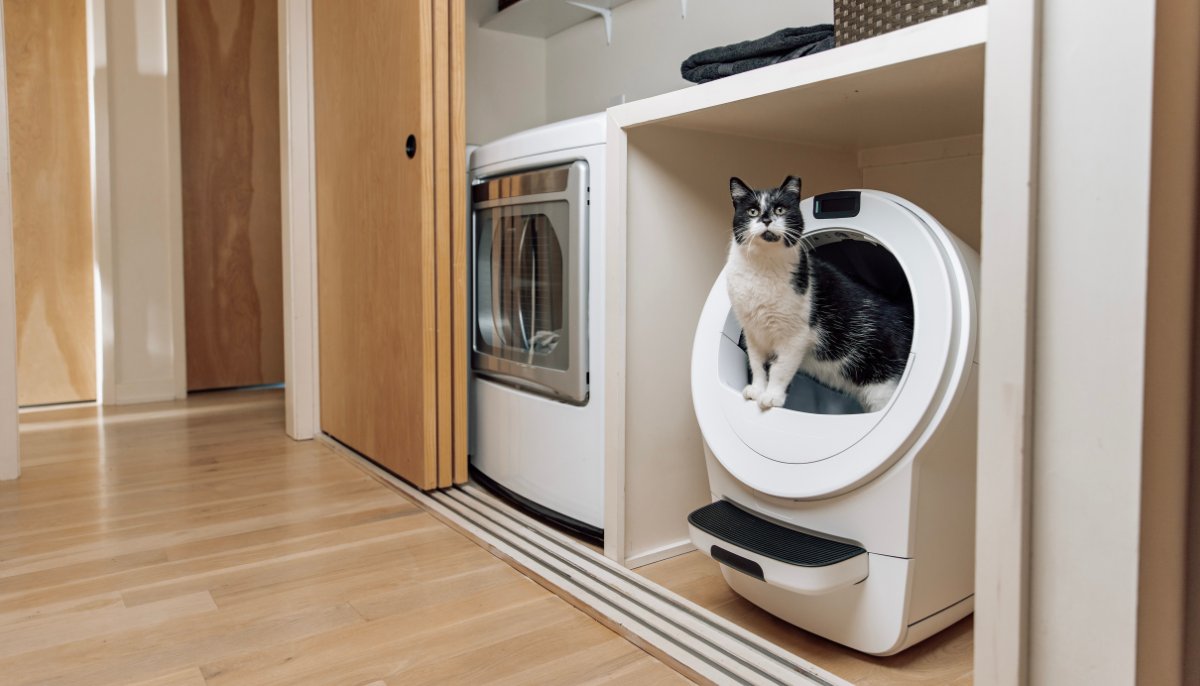 Comparing Litter-Robot 3 and 4: Which Model Is Right for Your Cat?