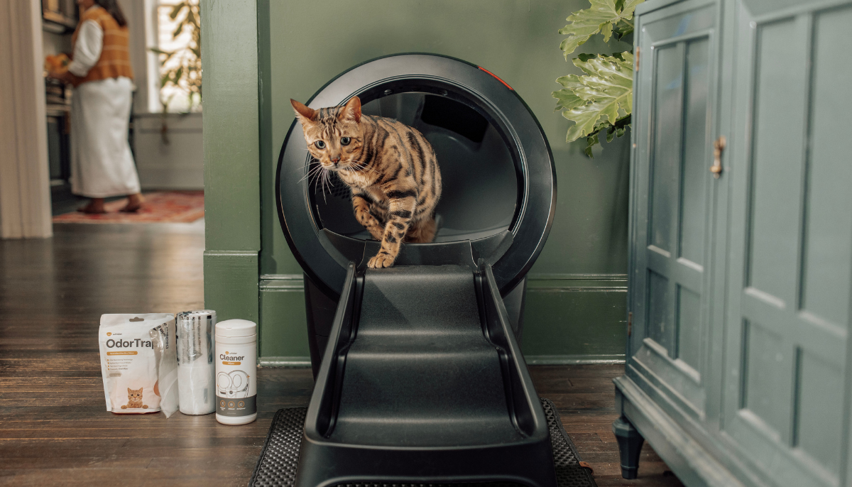 Litter Robot 4: The Ultimate Solution for Stress-Free Cat Bathroom Needs