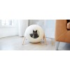 The Most Modern Cat Beds - Because You and Your Cat Deserve It
