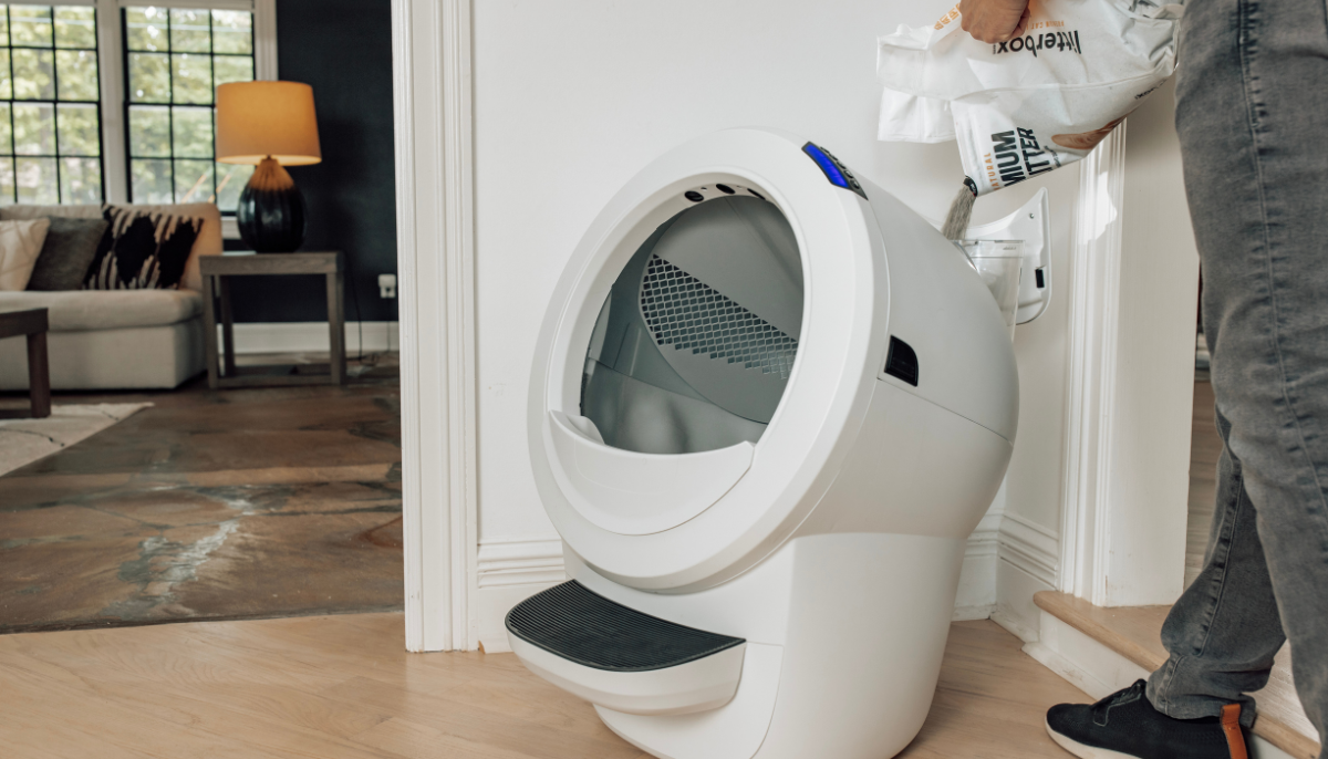 Preventative Measures for Your Automatic Litter Box: Avoiding Sudden Failures