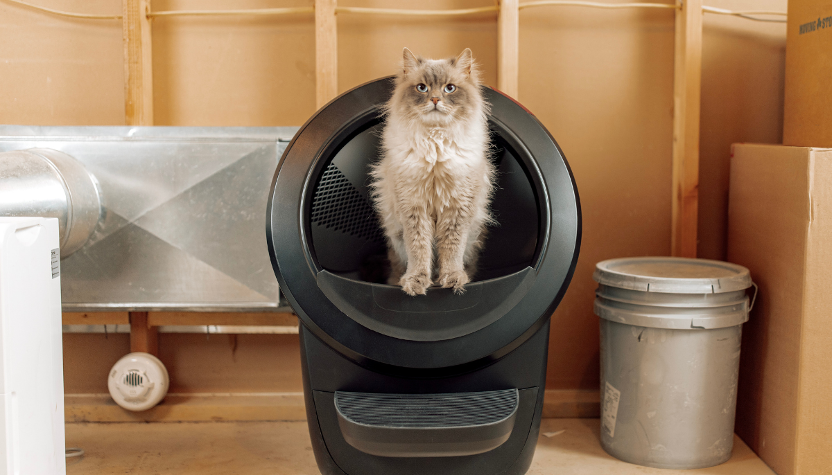 Improve Your Cat’s Hygiene With a WiFi-Enabled Automatic Litter Box