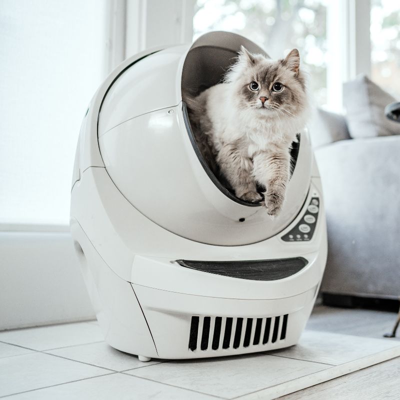 Little Robot Cat Litter My Litter Robot I Tested The Litter Robot