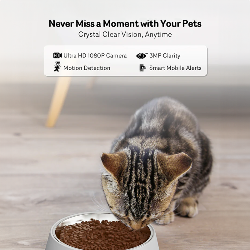 Automatic Pet Feeder with HD Camera