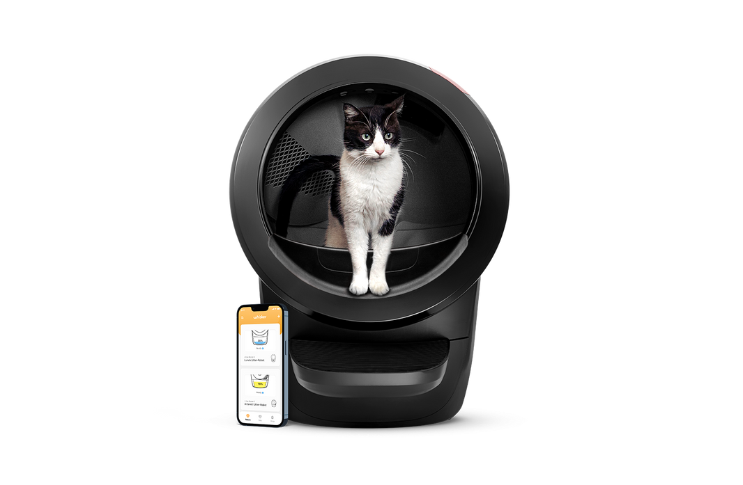 Picture of Self Cleaning Automatic Cat Litter Box Australia | Cat Evolution