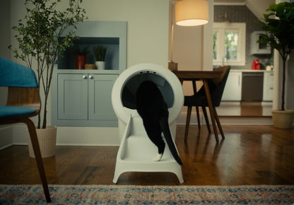 Litter-Robot 4 Ramp