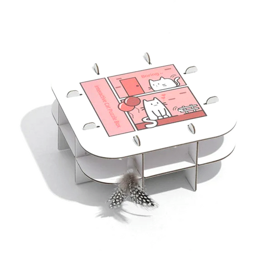 Cat Teaser Toy Puzzle Box