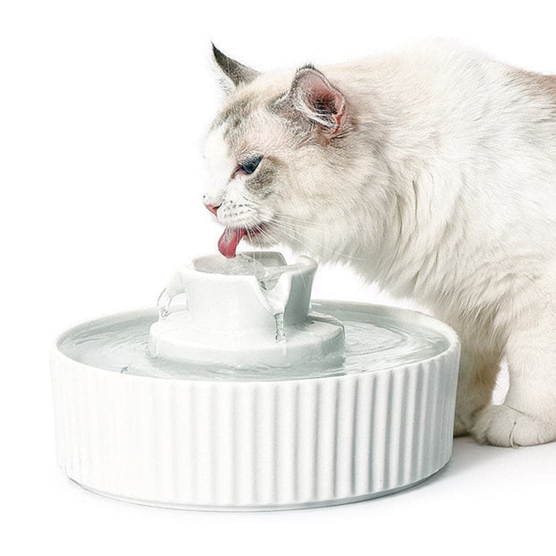 Ceramic Pet Fountain by Cat Evolution Australia - Main Image