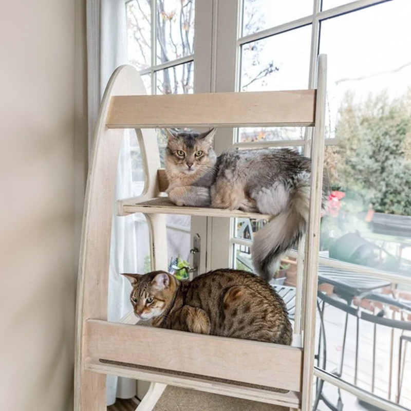 Contoure Cat Tree: Modern Stylish Cat Tower Australia